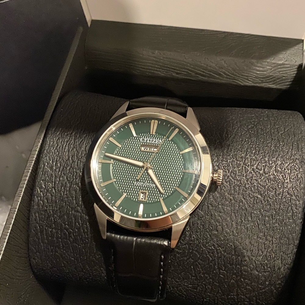 Citizen mens watch day and date